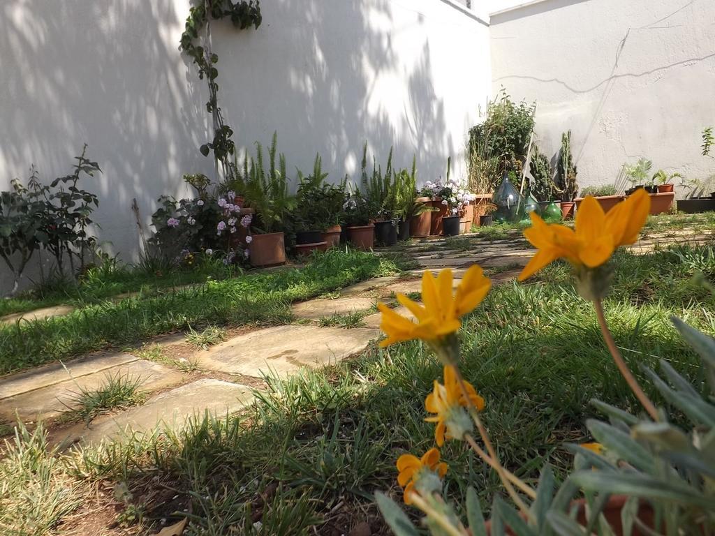 Araucaria Bed and Breakfast Torre San Giovanni Ugento Exteriör bild