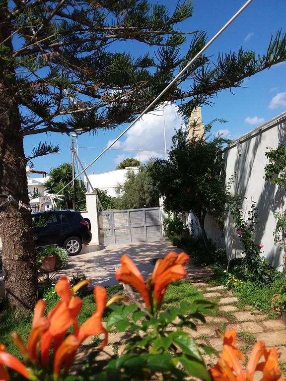Araucaria Bed and Breakfast Torre San Giovanni Ugento Exteriör bild